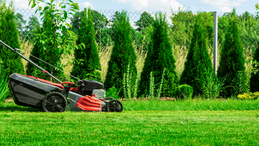 Garten - Engleitner Dienstleistungen