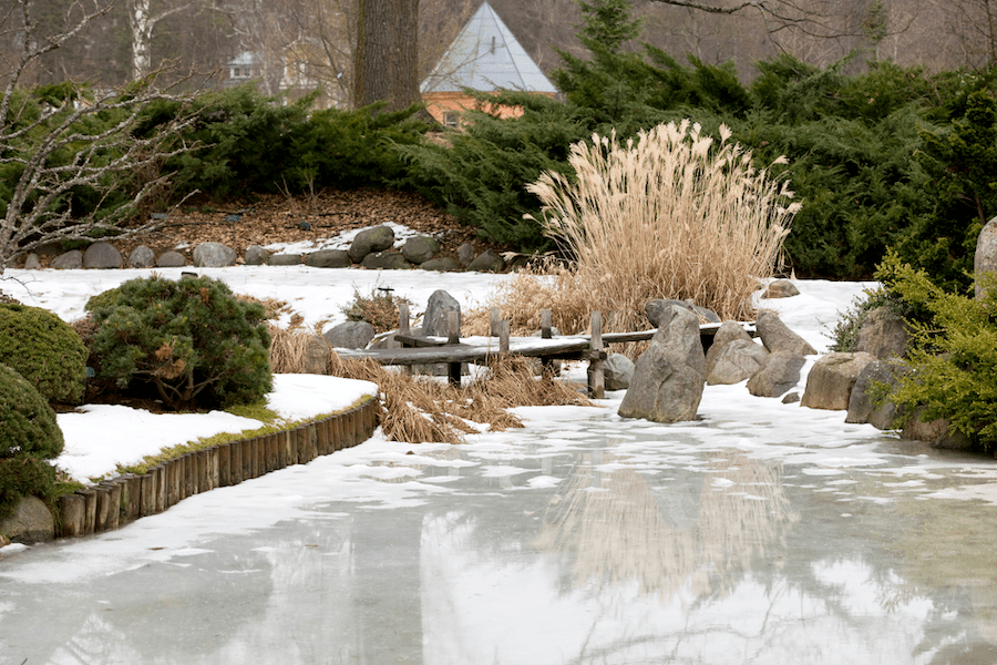Garten im Winter